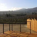 Apartment Cocon De Caractere Au Coeur Des Vignes Alsaciennes Bergheim