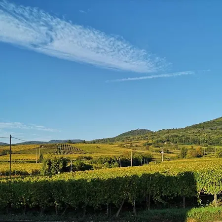 Cocon De Caractere Au Coeur Des Vignes Alsaciennes 公寓