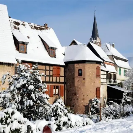 Cocon De Caractere Au Coeur Des Vignes Alsaciennes Appartement *