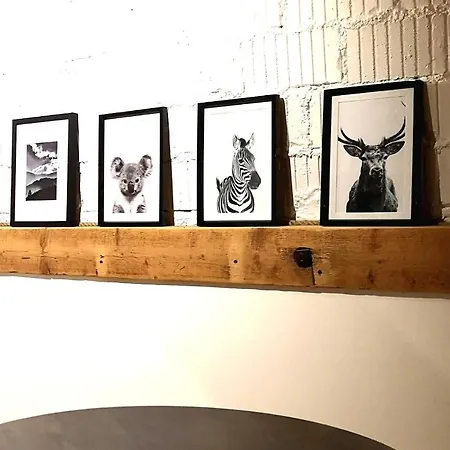 Cocon De Caractere Au Coeur Des Vignes Alsaciennes 公寓 贝尔盖姆