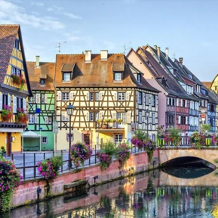 Cocon De Caractere Au Coeur Des Vignes Alsaciennes *