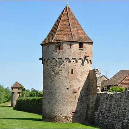 Cocon De Caractere Au Coeur Des Vignes Alsaciennes Bergheim