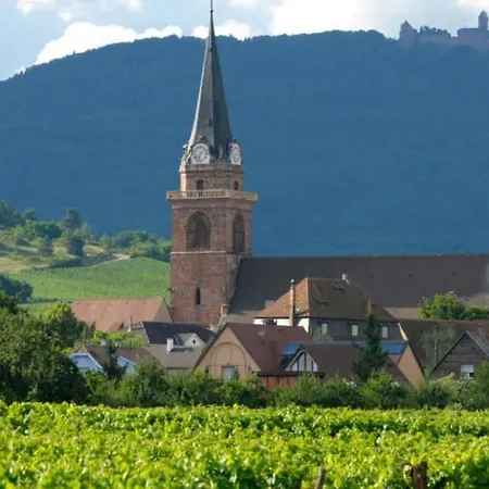 公寓 Cocon De Caractere Au Coeur Des Vignes Alsaciennes 贝尔盖姆