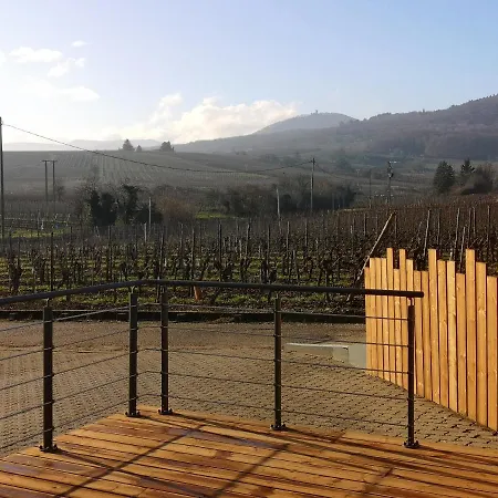 アパート Cocon De Caractere Au Coeur Des Vignes Alsaciennes ベルクハイム
