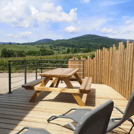 Cocon De Caractere Au Coeur Des Vignes Alsaciennes Bergheim