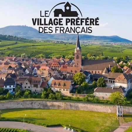 Cocon De Caractere Au Coeur Des Vignes Alsaciennes * Bergheim