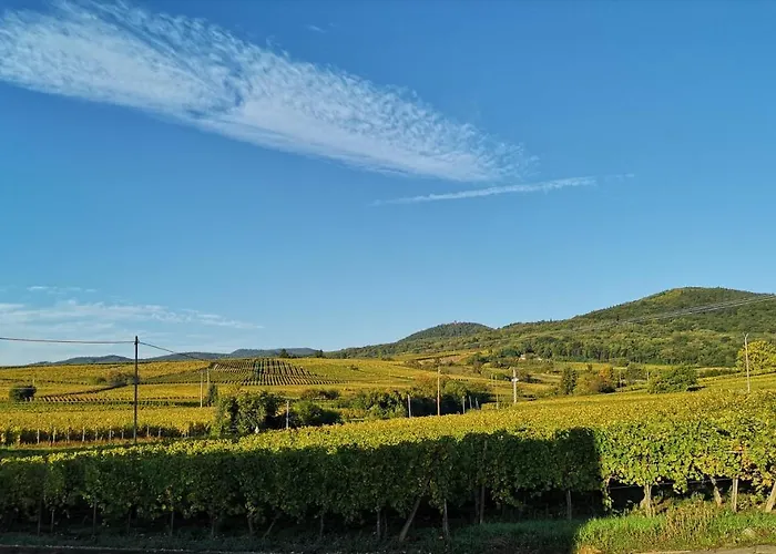 Cocon De Caractere Au Coeur Des Vignes Alsaciennes アパート