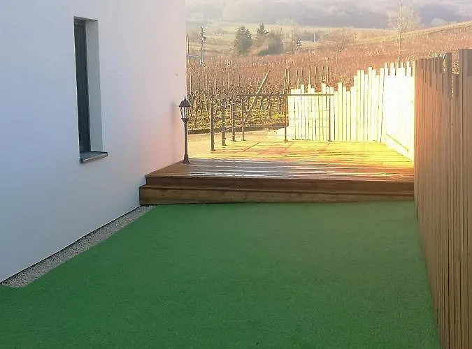Cocon De Caractere Au Coeur Des Vignes Alsaciennes アパート *