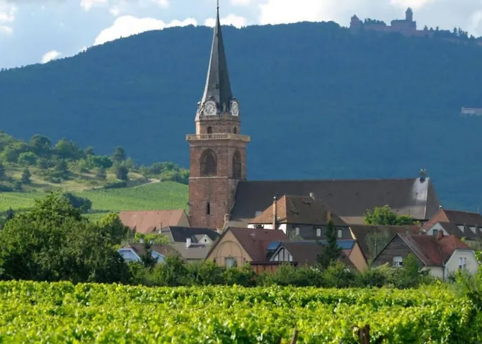 アパート Cocon De Caractere Au Coeur Des Vignes Alsaciennes ベルクハイム