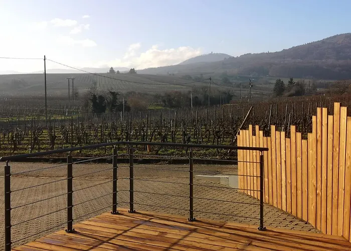 アパート Cocon De Caractere Au Coeur Des Vignes Alsaciennes ベルクハイム